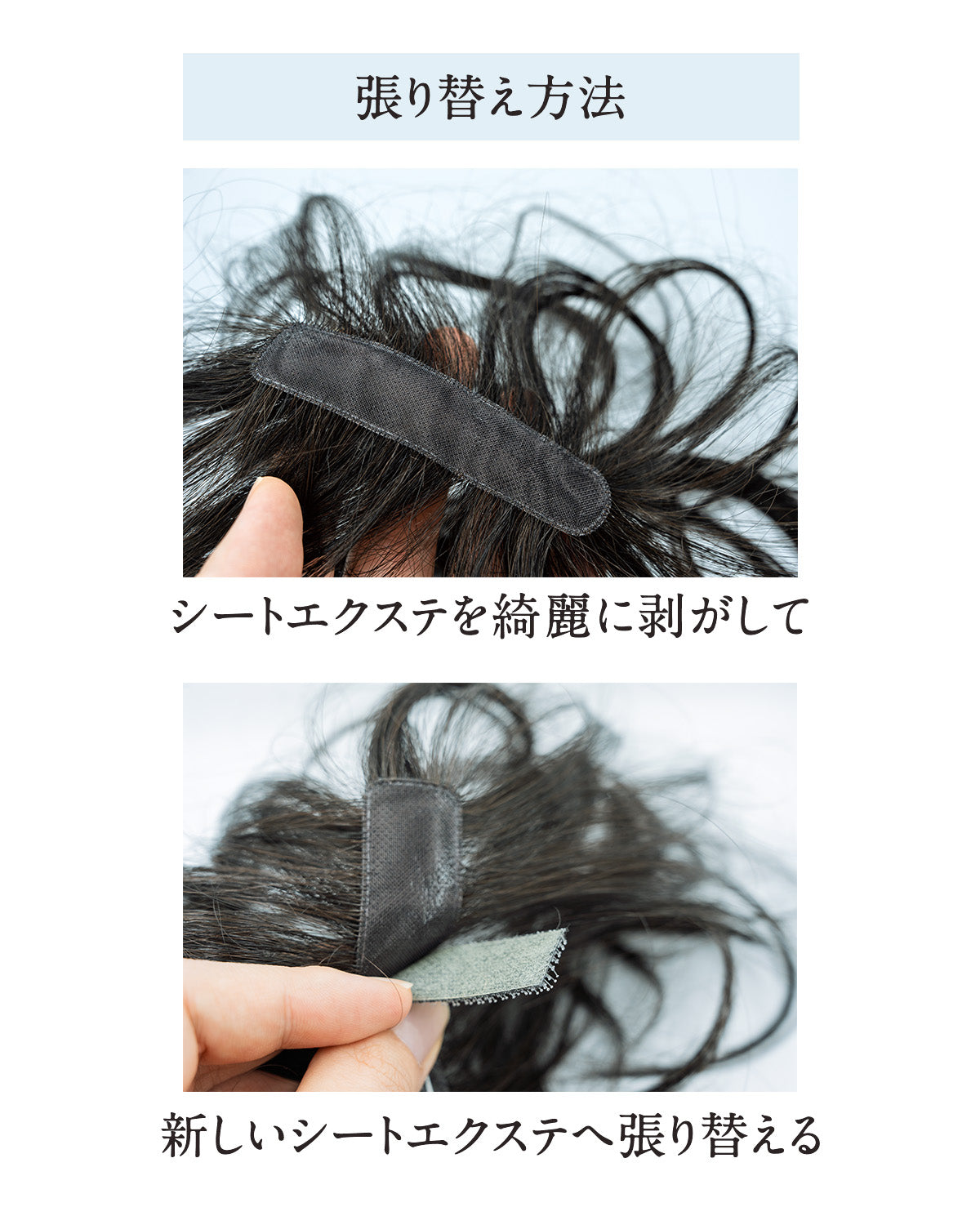 ピタッチ シートエクステ 交換用シート 2本入り