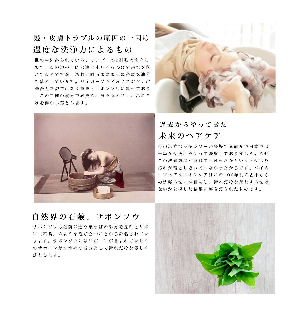 URBAN CRAFT EASE アーバンクラフト イーズ バイカーブ オールスキン シャンプー