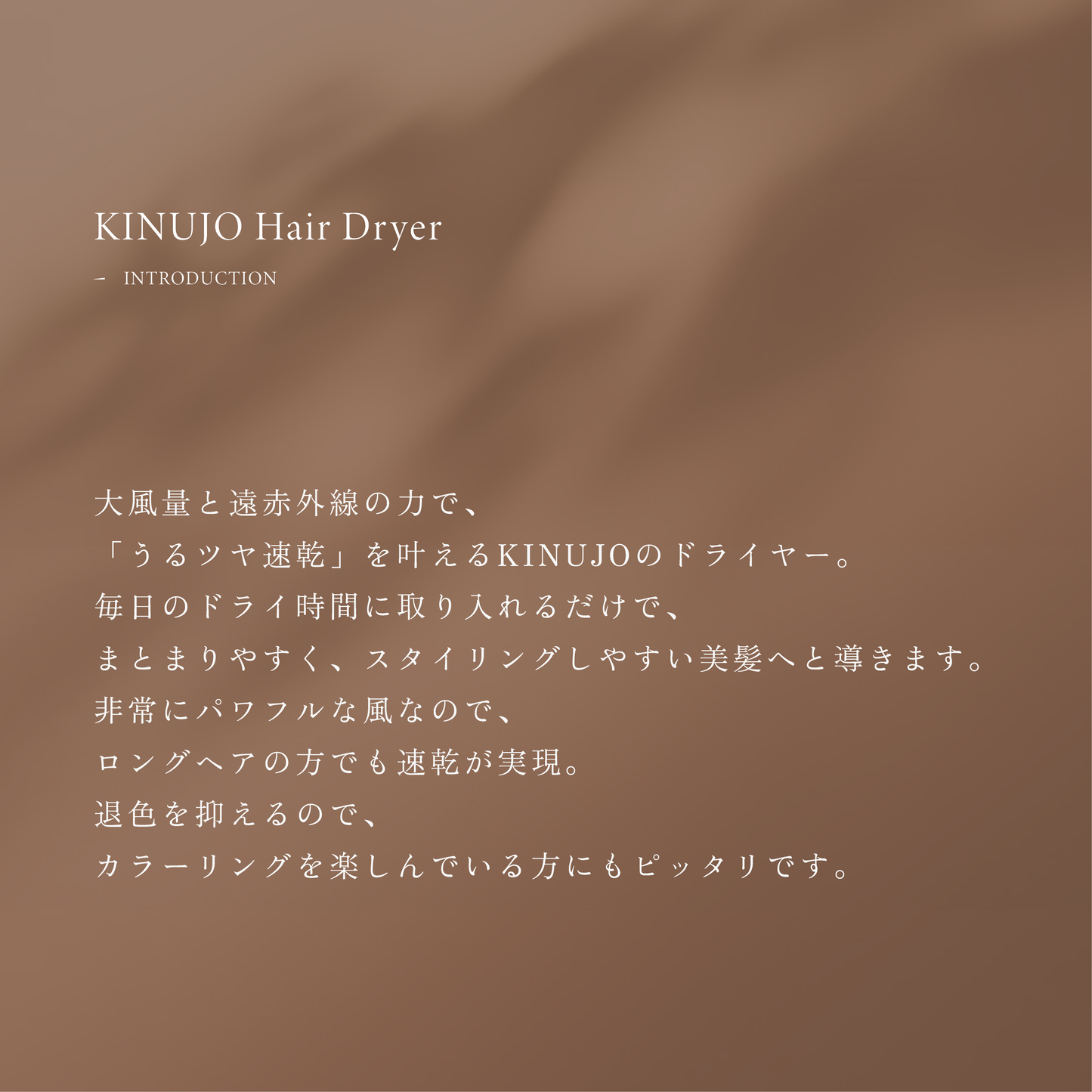 KINUJO Hair Dryer 絹女 ヘアドライヤー KH301 KH302