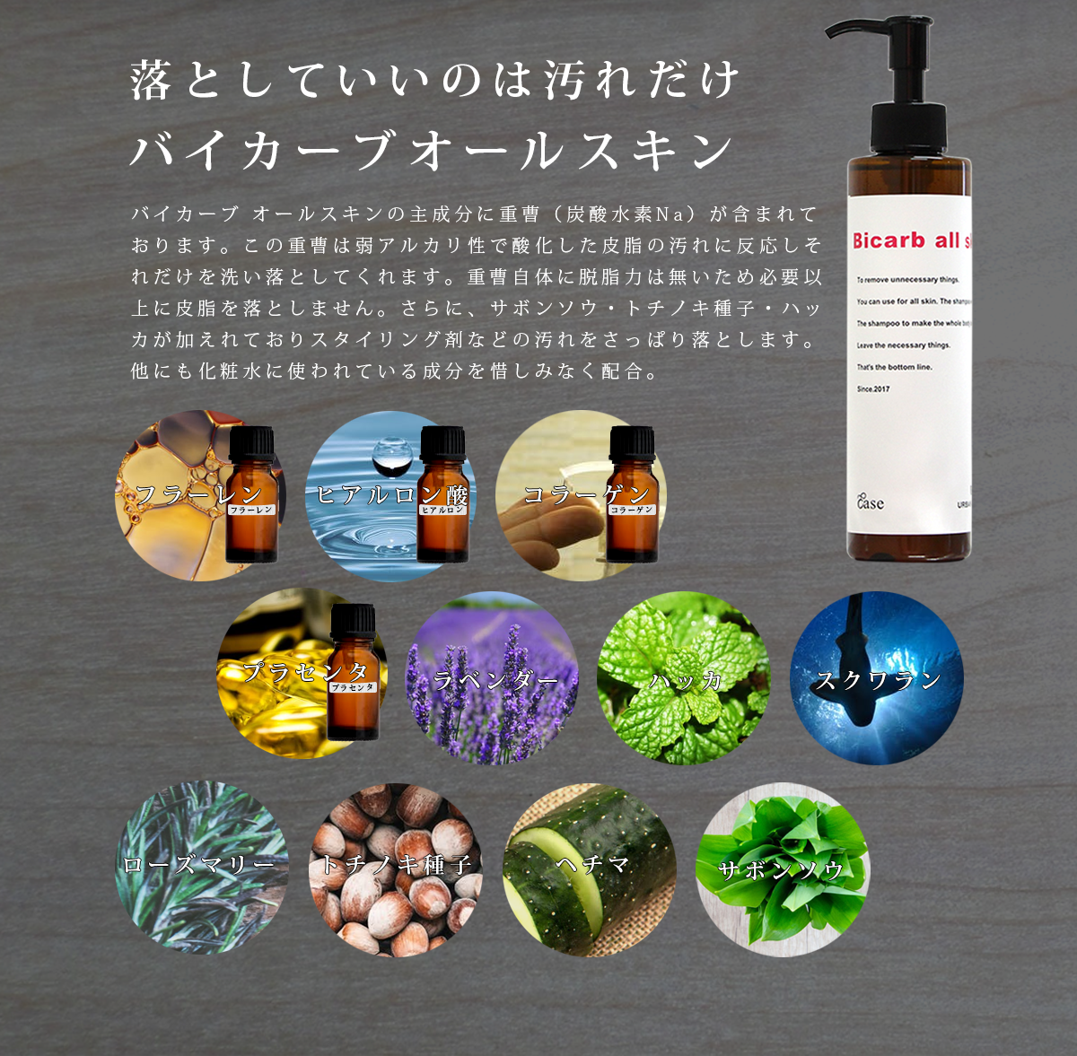 URBAN CRAFT EASE アーバンクラフト イーズ バイカーブ オールスキン シャンプー