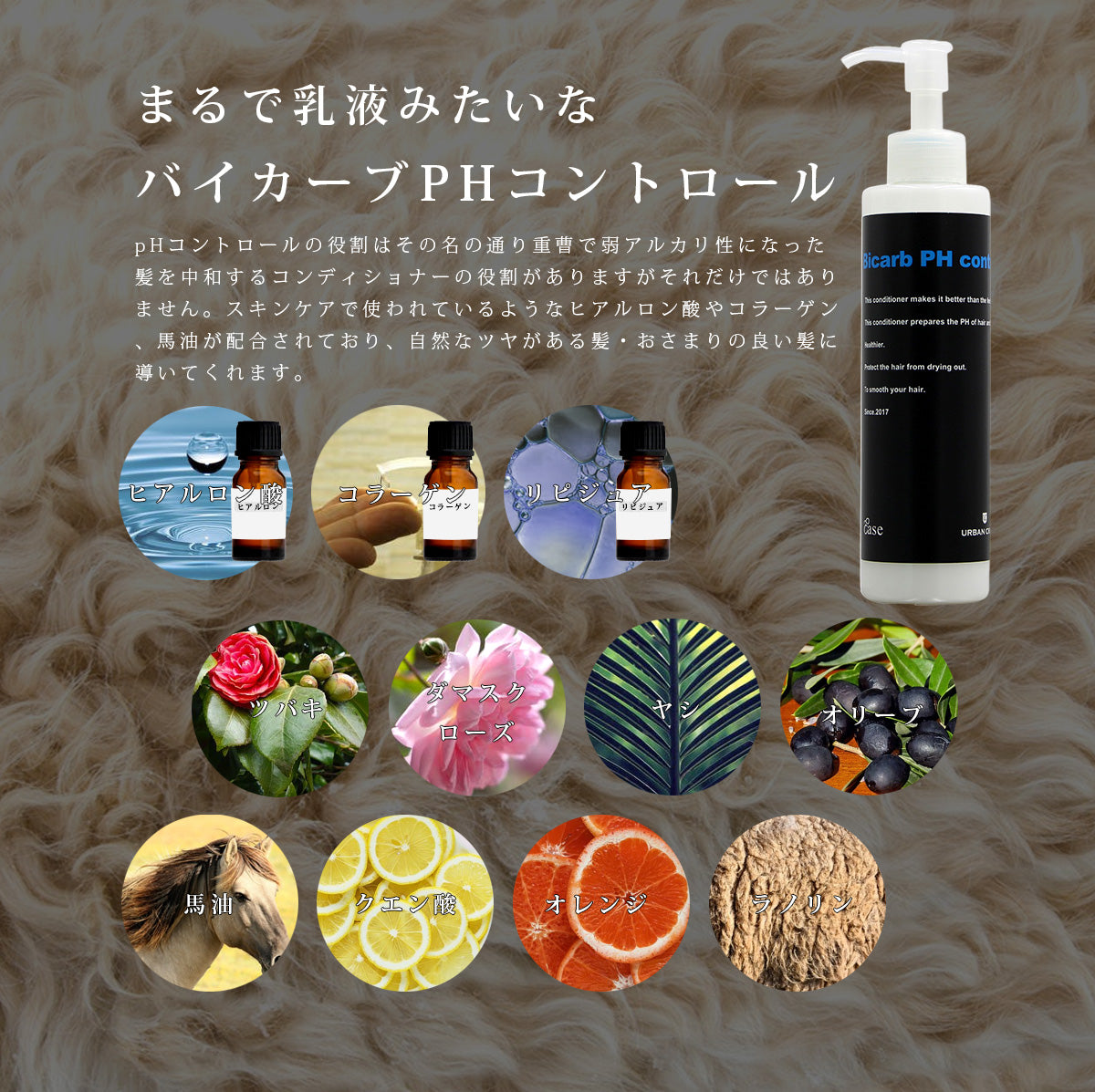 URBAN CRAFT EASE アーバンクラフト イーズ バイカーブ オールスキン シャンプー