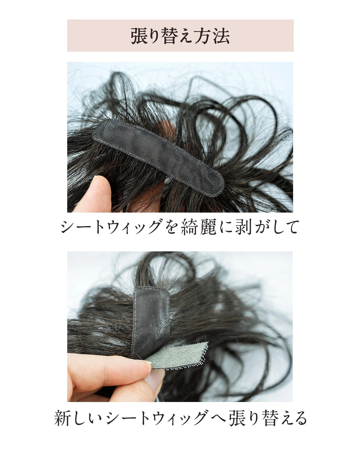 ピタッチ オールイン シートウィッグ 交換用シート 2枚入り