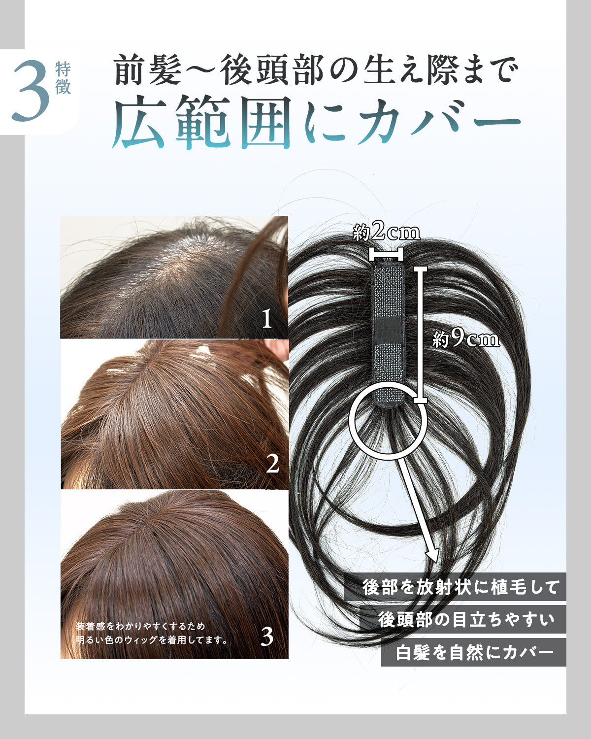 ピタッチ シートウィッグ【分け目専用部分ウィッグ】 – netsbee by